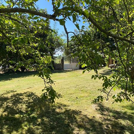 Chavannes-Sur-Reyssouze Les Anges Bleusヴィラ エクステリア 写真